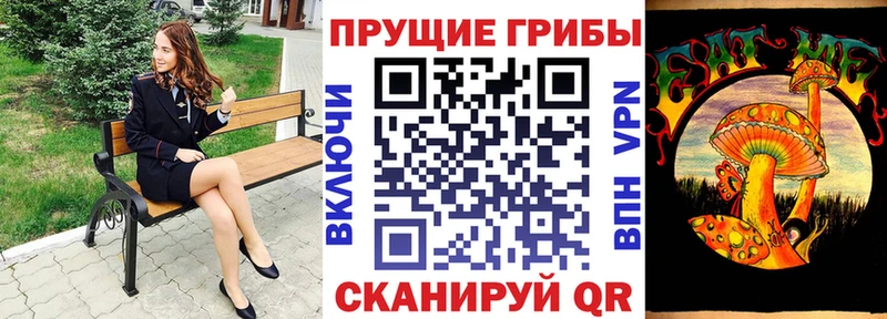 даркнет сайт Урус-Мартан кракен Галлюциногенные грибы MAGIC MUSHROOMS